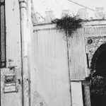 Les Ottomans en Méditerranée : un patrimoine disputé