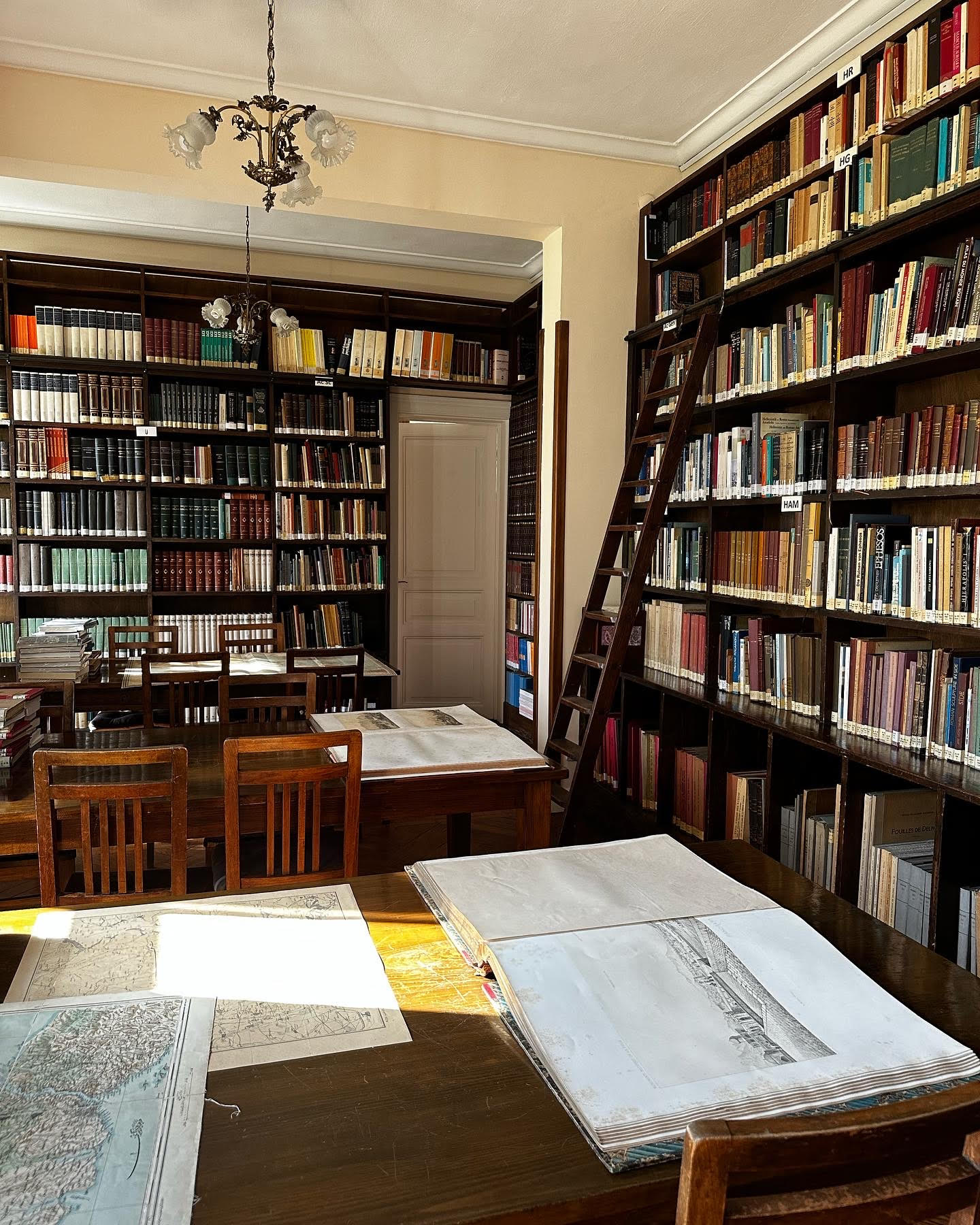 Bibliothèque IFEA