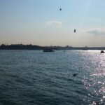 On the Other Shore: The Things of a Sufi Saint in Istanbul