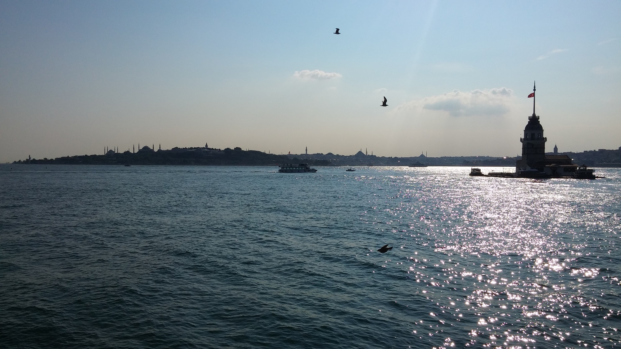 On the Other Shore: The Things of a Sufi Saint in Istanbul