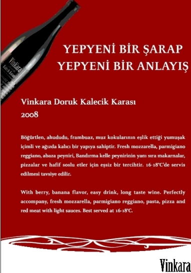 VINPA_500x720_PIXEL