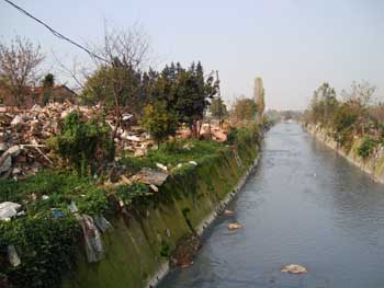 ayamama4.jpg