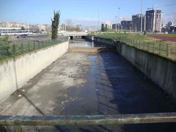 cirpici_au_fondrealistanbul.jpg