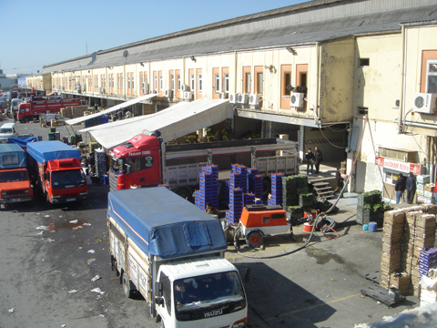 dsc05063