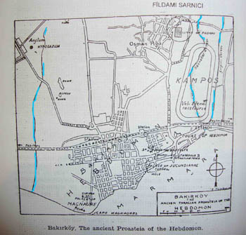 fildamicirpici1.jpg