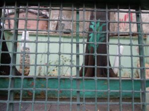 Tombe d’un derviche à Beyoğlu